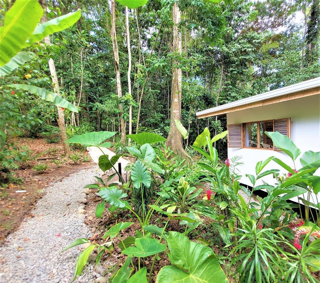 Satta Lodge (Adults Only) Puerto Viejo de Talamanca Exterior foto