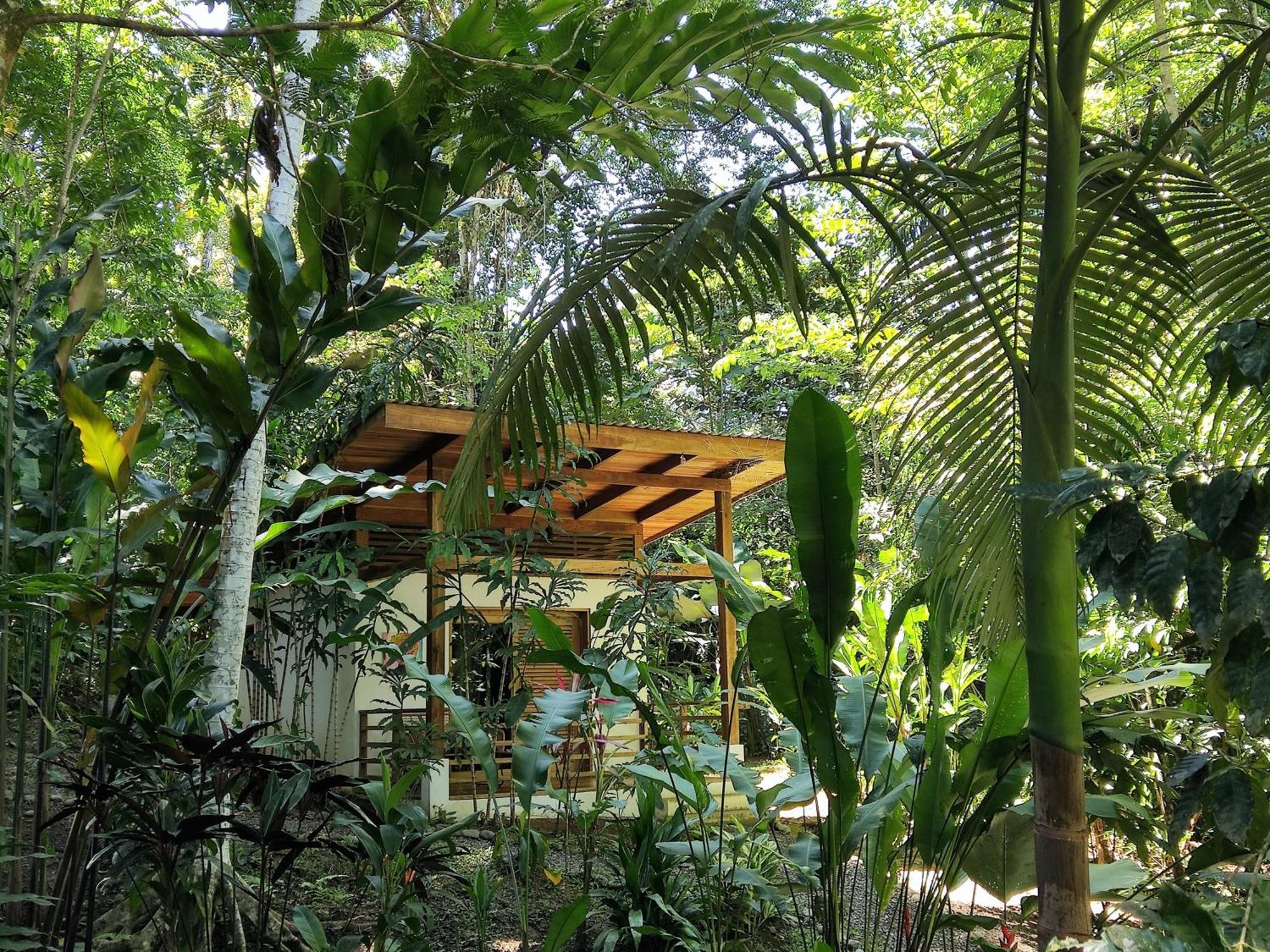 Satta Lodge (Adults Only) Puerto Viejo de Talamanca Zimmer foto