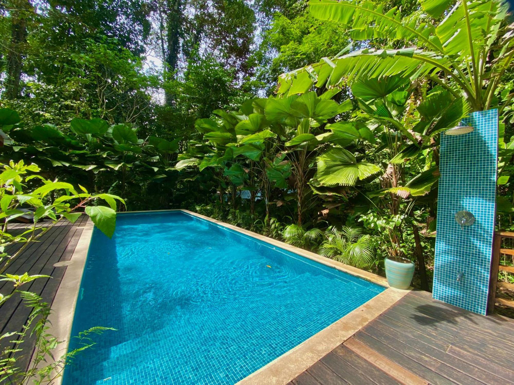 Satta Lodge (Adults Only) Puerto Viejo de Talamanca Exterior foto